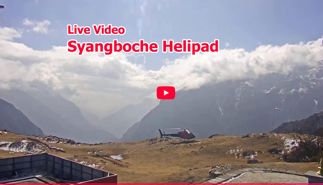 syaboche-helipad-live